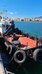 İş gemileri satılık