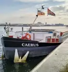 Yığın taşıyıcı satılık
