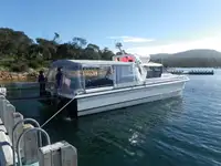 Katamaran satılık
