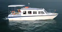 Yolcu gemisi satılık