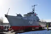 Devriye botu satılık