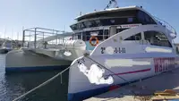 Yolcu gemisi satılık