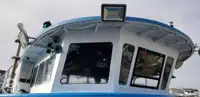 Katamaran satılık