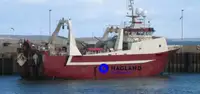 Large freezer trawler satılık