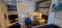 Ro-Ro gemisi satılık