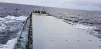 Yığın taşıyıcı satılık
