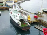Ro-Ro gemisi satılık