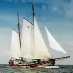 Mavna satılık