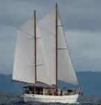 Dredger (Kazık çakma gemisi) satılık