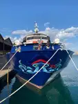 feribot satılık