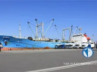 soğutuculu gemi satılık