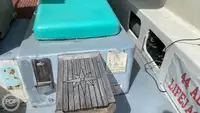 Kruvaziyer gemisi satılık