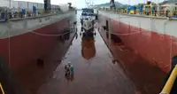Dalgalı liman satılık