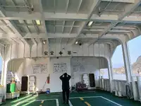 Ro-Ro gemisi satılık