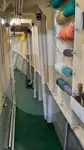 Canlı balık taşıma gemisi satılık