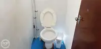 Katamaran satılık