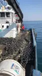 İş gemileri satılık