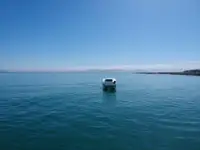 Katamaran satılık