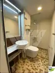 Kruvaziyer gemisi satılık