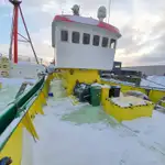 Devriye botu satılık