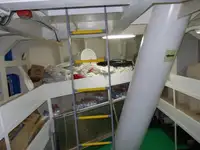 Yığın taşıyıcı satılık