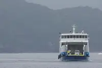 Ro-Ro gemisi satılık