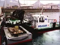 Mavna satılık