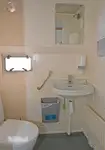 Kruvaziyer gemisi satılık
