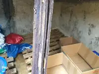 Trol gemisi satılık