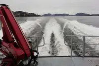 İş gemileri satılık