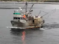 Longliner satılık