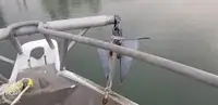 Trol gemisi satılık