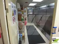 Gezi teknesi satılık