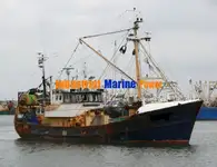 Trol gemisi satılık
