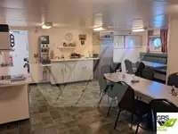 Ro-Ro gemisi satılık