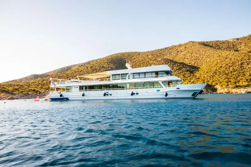 Çok amaçlı satılık