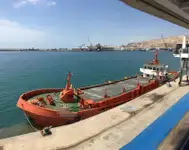 Konteyner gemisi satılık