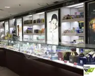 Ro-Ro gemisi satılık