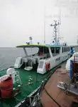 Pilot teknesi satılık