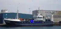 Balık işleme ve teslimatı için gemi satılık