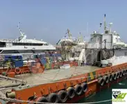 Rüzgar çiftliği servis gemisi satılık