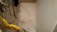 Trol gemisi satılık