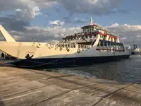 Ro-Ro ship satılık