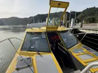 Kruvaziyer gemisi satılık
