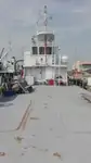 Devriye botu satılık
