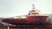 Çok amaçlı satılık