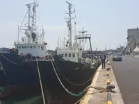 Trol gemisi satılık