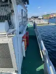Devriye botu satılık