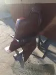 Pilot teknesi satılık