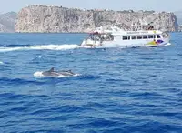Yolcu gemisi satılık